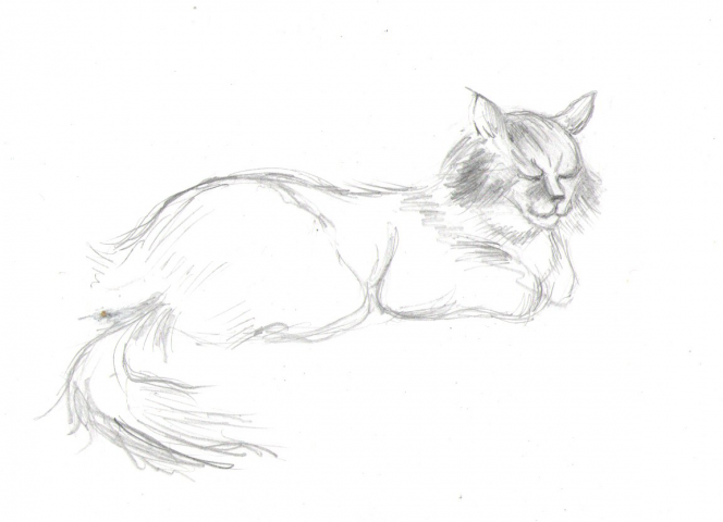 Зарисовка "Кошка"