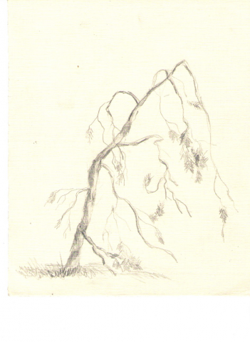 Зарисовки