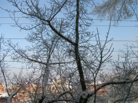 нормирование выбросов ЗВ в атмосферу