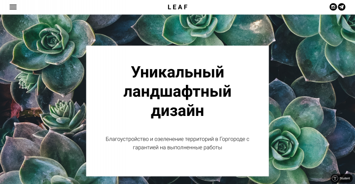 LEAF