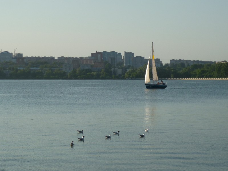 pic2791236.jpg
