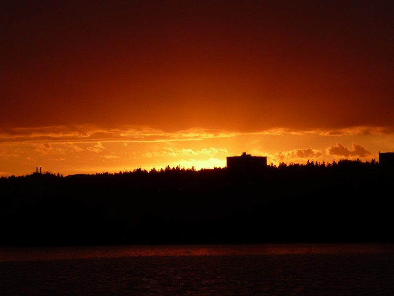 pic2791235.jpg