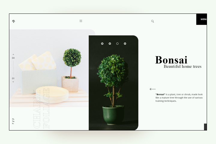 Bonsai