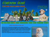 Питомник кошек Ostrov Cat