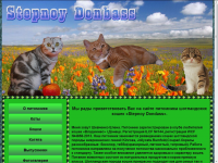 Питомник шотландских кошек Stepnoy Dondass