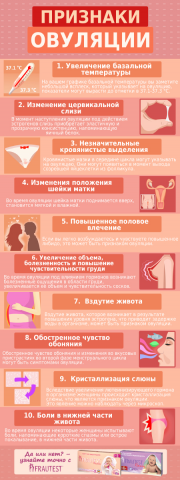 Инфографика (женская тема 3)