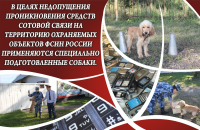 Работа 2082311
