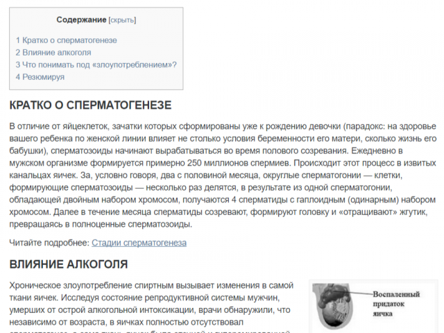 Сколько не пить мужчине перед зачатием