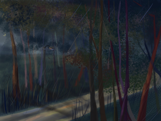 Rain in the forest