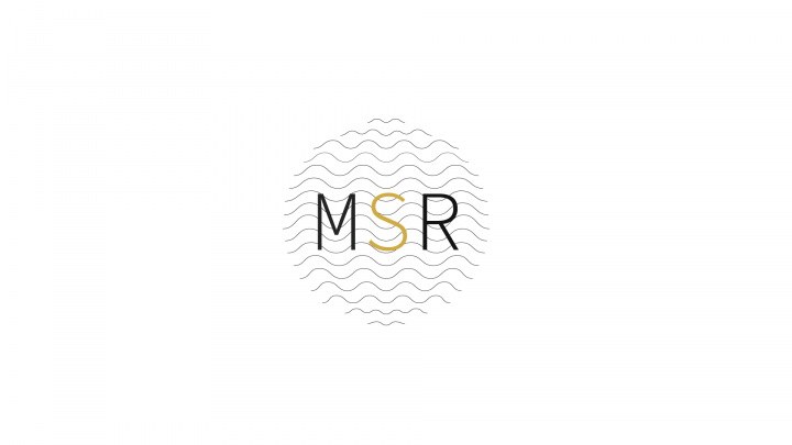 Ребрендинг MSR (Mediterranean shipping register)