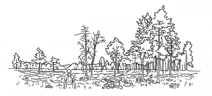Работа 4009503