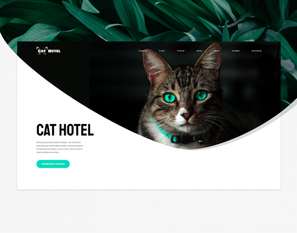 Cat Hotel Landing Page