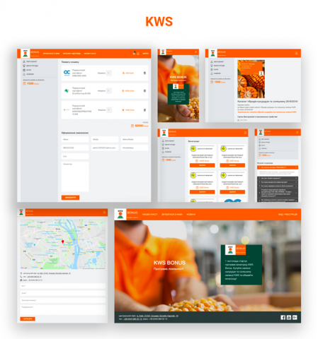 Проект "KWS Bonus"