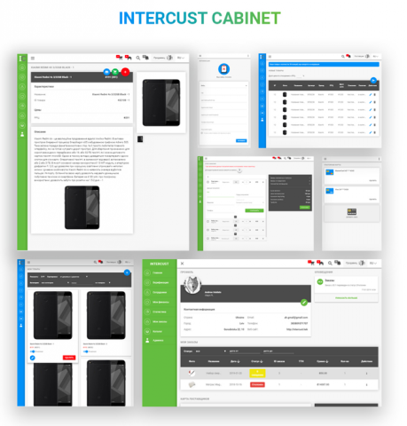 Проект "Intercust" (кабинет)