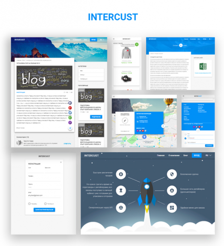 Проект "Intercust"