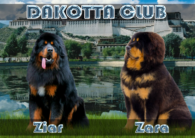 Плакат