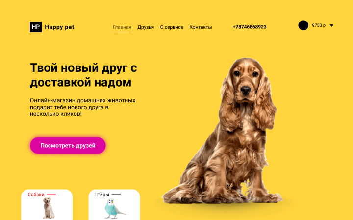 Happy pet