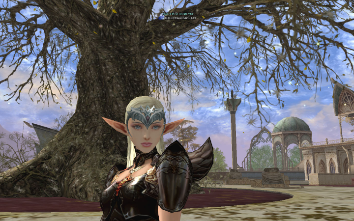 ЛЮБИМОЕ (цикл Lineage 2)
