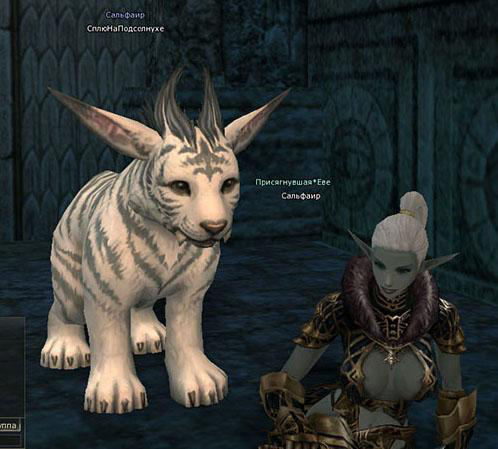 Тигрячья сказка (Lineage 2)