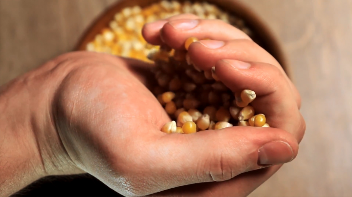 Рекламный ролик - Кукурузная мука «ДИДО»