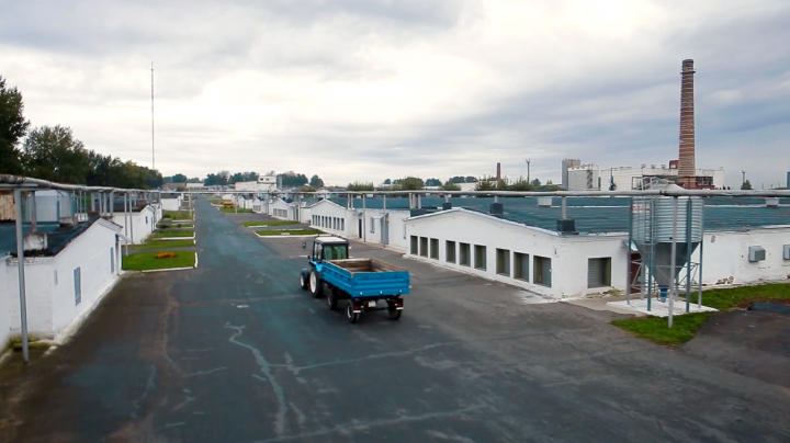 Рекламный ролик - Птицекомплекс «Лаишевский»