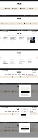 Интернет-магазин Tasche (дизайн шапки и меню сайта)