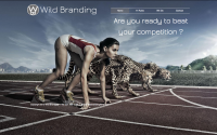 Wild Branding - сайт брендингового агентства в Нью-Йорке