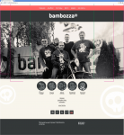 Static website (not responsive)