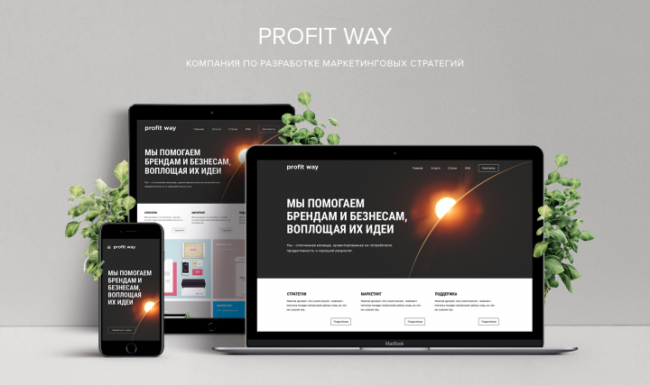 Profit Way - Компания по разработке маркетинговых стратегий