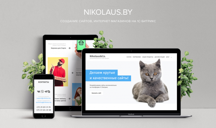 Nikolaus - Создание сайтов на 1С-Битрикс