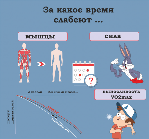 Работа 4003891
