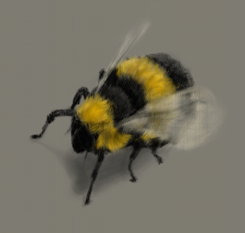 bee