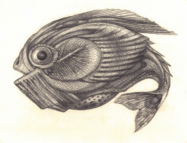 fish