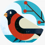 Bullfinch