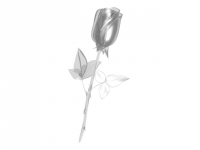 Иллюстрация "Роза"