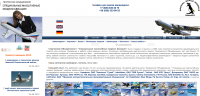 Сайт по созданию Авиамоделей - разработка и раскрутка
