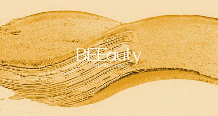 BEEauty