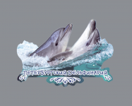 дельфинарий