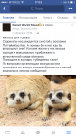 Идеальный день в тайском зоопарке Као Кео