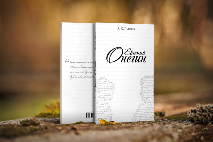 Варианты обложек для романа "Евгений Онегин" А.С. Пушкина