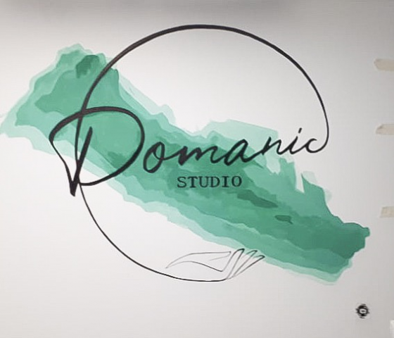 Разработка и создание логотипа "Domanic Studio"