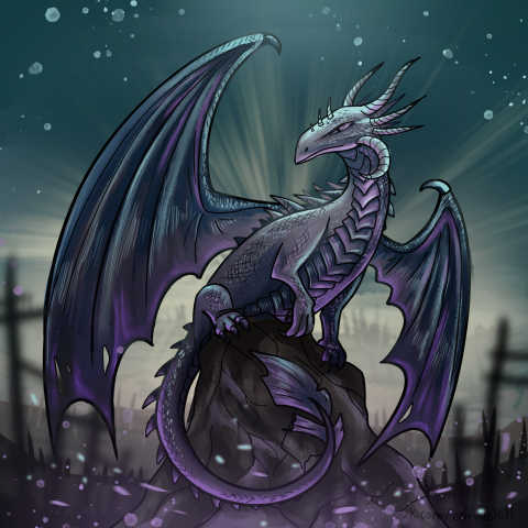 The obsidian dragon