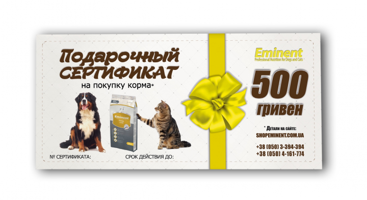 Дизайн подарочных сертификатов