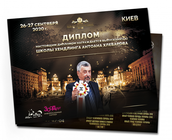 Дизайн дипломов / сертификатов