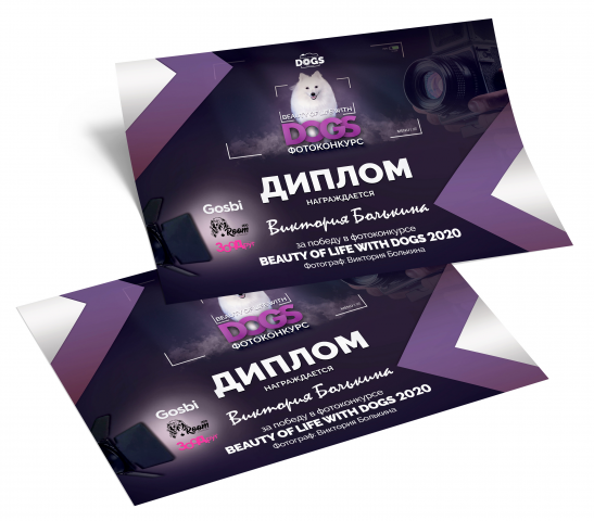 Дизайн дипломов / сертификатов