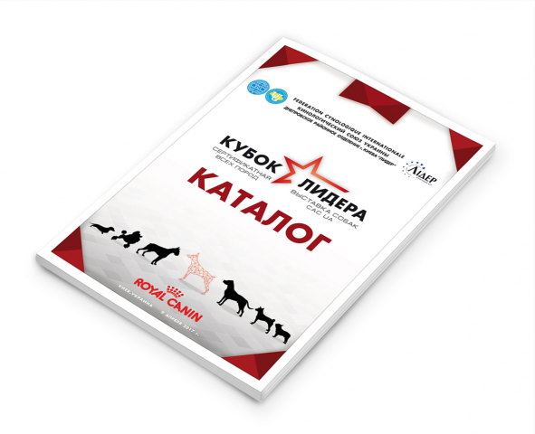 Дизайн каталогов