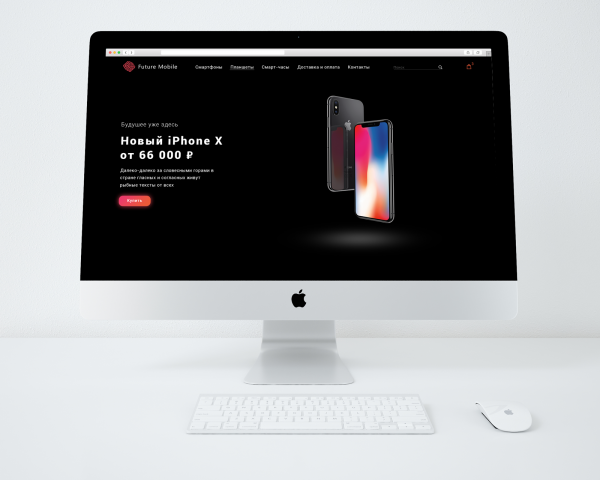 iPhone X (Future Mobile)