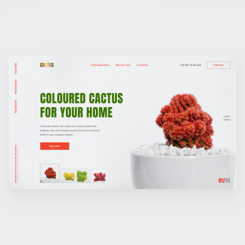 Coloured cactus