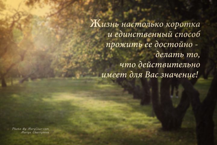 Коломенский яблоневый сад