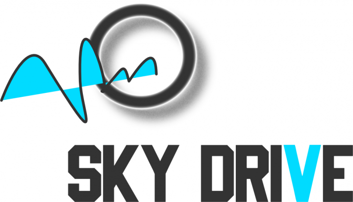 Вариант логотипа